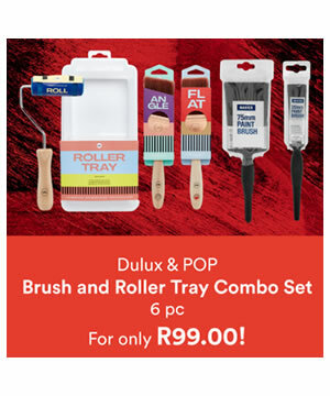 Dulux_POP_Brush_And_Roller_Tray_Combo_Set