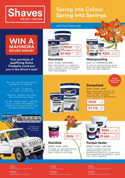 Shaves_Paint_Decor_c5296751